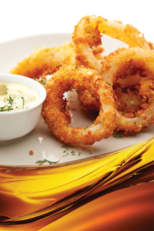 onion rings with a side of mayonnaise sauce