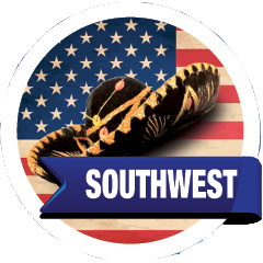 Chipotle southwest Icon