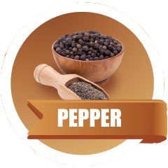 Pepper sauce Icon